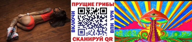 mega вход  Реутов  Псилоцибиновые грибы Cubensis 