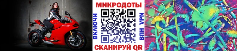 Галлюциногенные грибы GOLDEN TEACHER Реутов